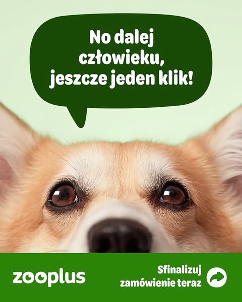 A clever 4:5 pet product ad creative using a dog's perspective to drive urgency for pending customer orders.