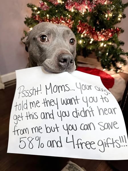 A close-up of a dog holding a handwritten sign about holiday savings and free gifts in front of a Christmas tree.
