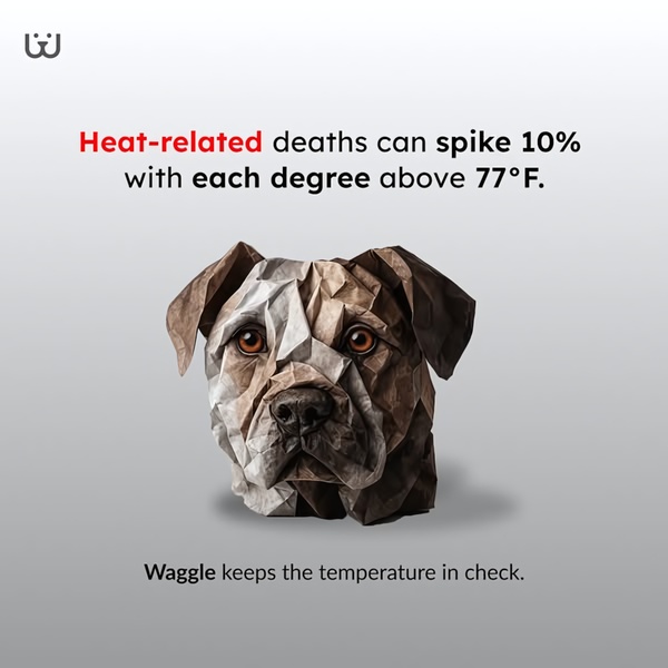 This ad creative uses a high-impact, data-driven hook paired with a striking origami-style visual to warn pet owners about temperature-related dangers.