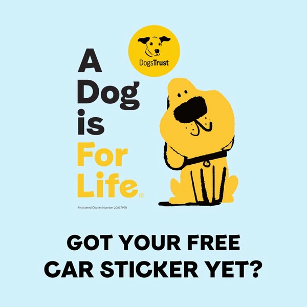 A high-contrast, minimalist graphic ad featuring a branded mascot and a direct question to drive engagement for a free promotional item.