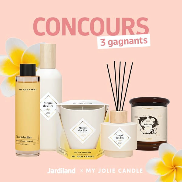 candles, scented candles, home fragrance, reed diffuser, aromatherapy candles, brand awareness, minimalist, warm, luxurious, pink, yellow