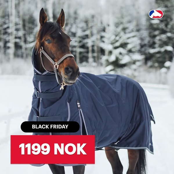 A high-contrast 1:1 image featuring a horse wearing a protective blanket in a snowy landscape, emphasizing a Black Friday price offer.