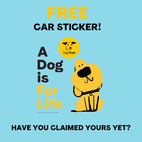 A clean, minimalist 1:1 graphic ad offering a free car sticker to boost brand awareness and engagement with an emotional call-to-action.