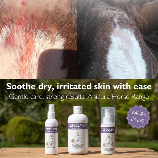 A split-screen comparison showing significant skin improvement on a horse next to a product bundle display featuring a clear price anchor.
