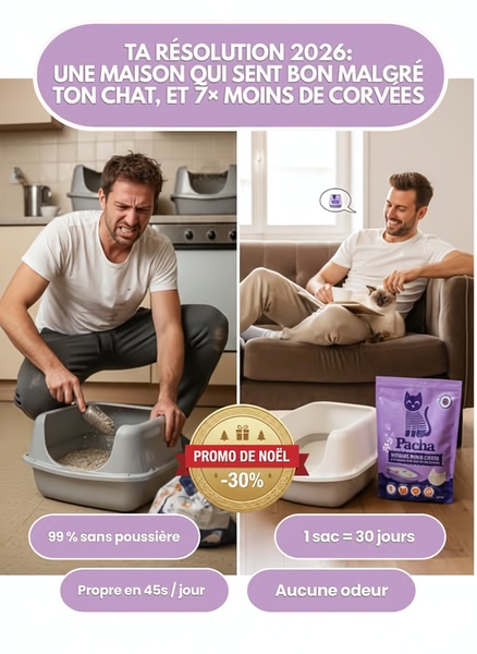 A split-screen comparison ad showing a frustrated owner cleaning a litter box versus a relaxed owner with a cat, featuring a clear holiday discount.