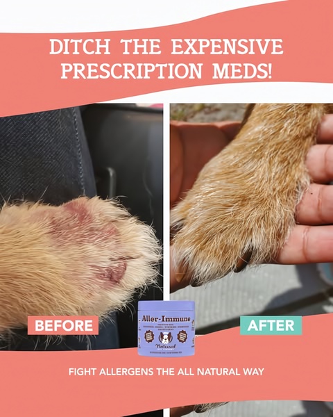 This ad creative uses a high-contrast split-screen comparison to showcase the physical results of a dog health supplement.