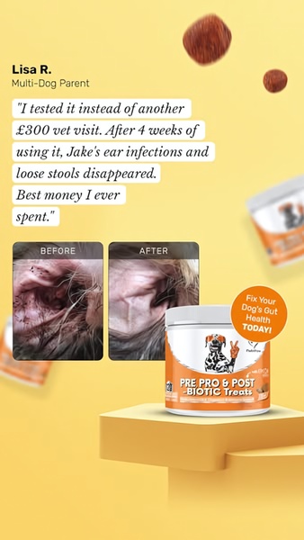 This creative utilizes a personal testimonial combined with clear photographic evidence of pet health improvement to build instant trust.