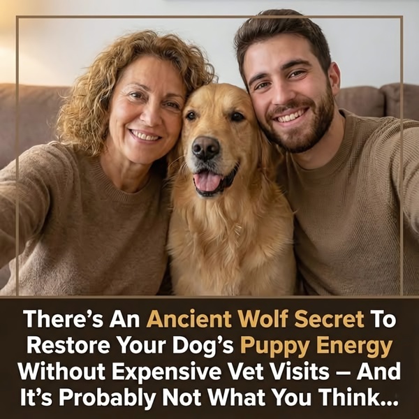 This 1:1 ratio static ad features a happy owner and their dog, utilizing a curiosity-based headline to drive engagement.