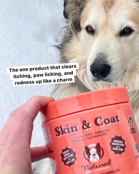 This ad creative uses a close-up product shot alongside an owner's hand to directly address common pet skin issues, establishing instant trust through a bold, clear problem-solving claim.