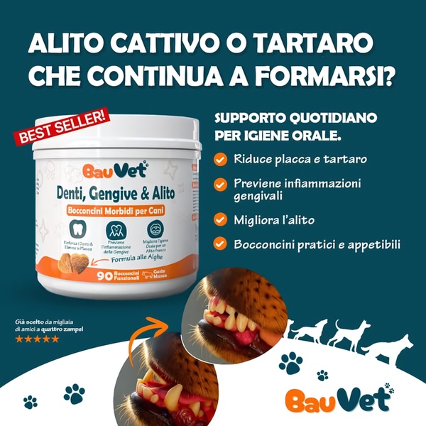 A 1:1 format creative addressing bad breath and tartar in dogs with a clear symptom-led hook, product shot, and bulleted benefits.