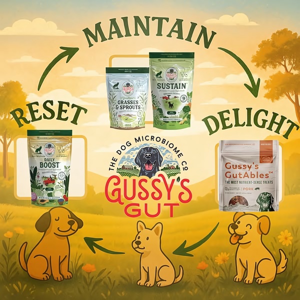 This ad creative utilizes a cyclical diagram to illustrate the three stages of dog gut health using supplement product pouches.
