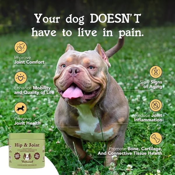 Dog Joint Supplement Pain-Relief Ad