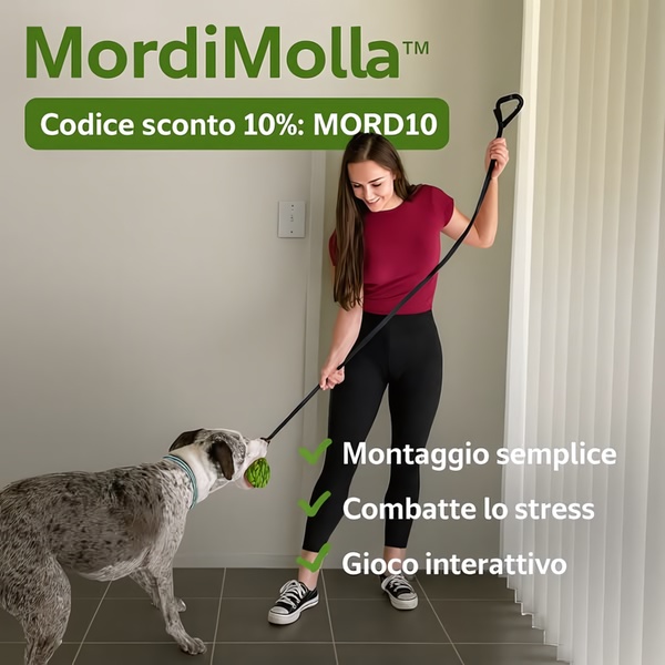 A square-format static ad showing a user playing with a dog using an interactive toy, highlighting three key benefits and a promotional discount code.