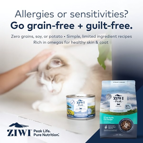 A clean, benefit-focused advertisement for grain-free cat food that highlights product ingredients and health benefits for pets with sensitivities.