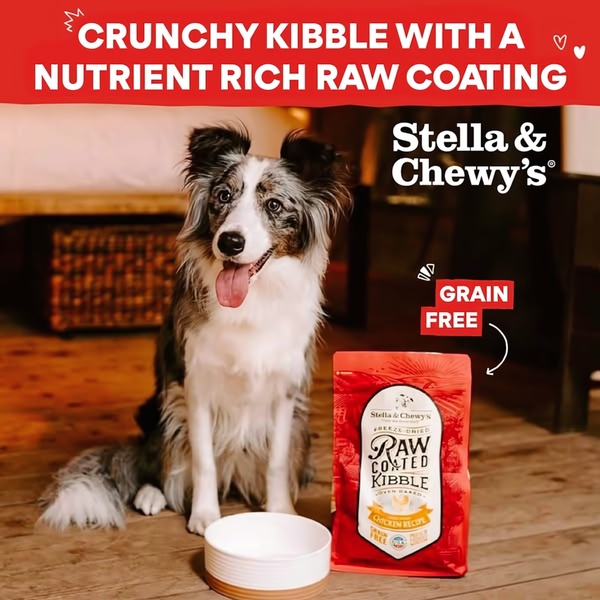A clean, high-contrast 1:1 ad featuring a dog alongside a bag of raw-coated dog kibble, using direct benefit copy to communicate product value.