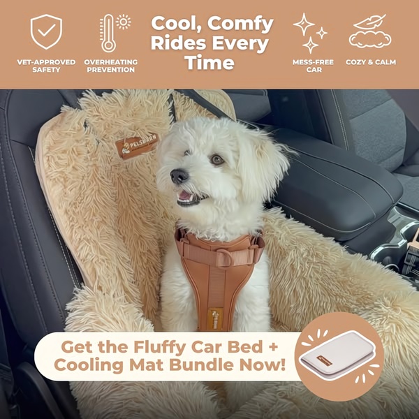 A clean, lifestyle-focused ad for a dog car bed, using icons to highlight safety and temperature benefits.