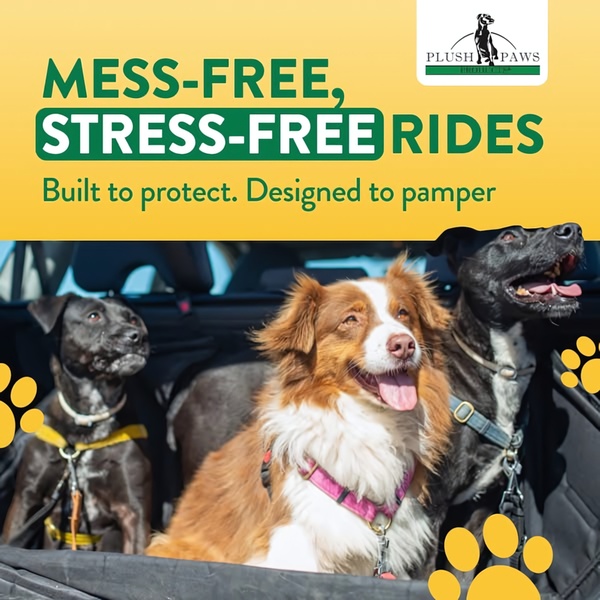 This square format ad highlights the protective and comfort benefits of a pet car seat cover through a high-quality lifestyle shot of three dogs.
