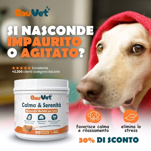 A square-format product ad featuring a distressed dog under a blanket and the calming supplement jar, emphasizing stress relief benefits and a discount offer.