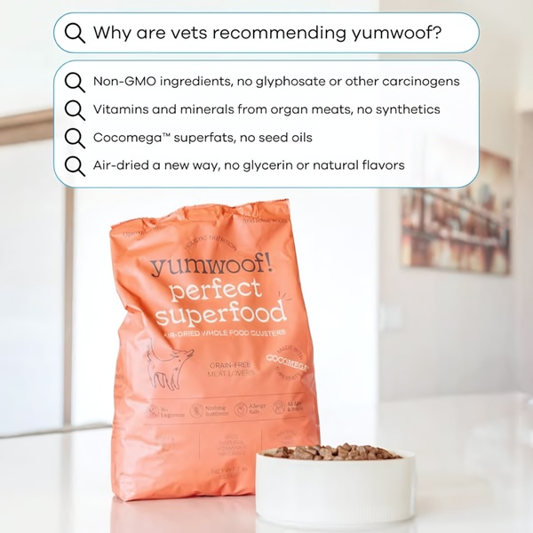 This 1:1 ratio dog food ad uses a clean, bright aesthetic to present a list of vet-recommended product benefits directly to the consumer.