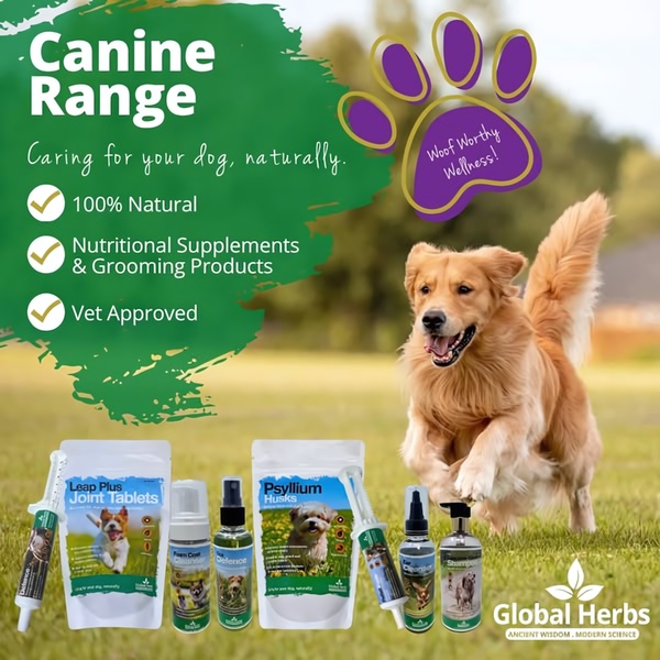 A 1:1 square graphic for canine nutritional supplements showing the full product range and a happy dog, featuring clear benefit checkboxes.