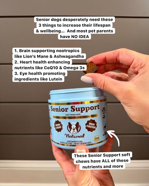 A 4:5 static ad showing a hand holding a soft chew supplement over the container, featuring a numbered list of health benefits for senior dogs.