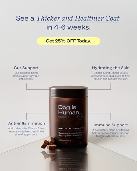 A clean, studio-lit ad showcasing a dog multivitamin jar with four clearly defined health benefit callouts and a primary value proposition headline.