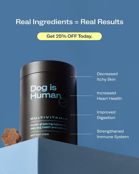 A clean, studio-shot product ad for a dog multivitamin that uses clear, dashed callouts to map out primary health benefits to the user.