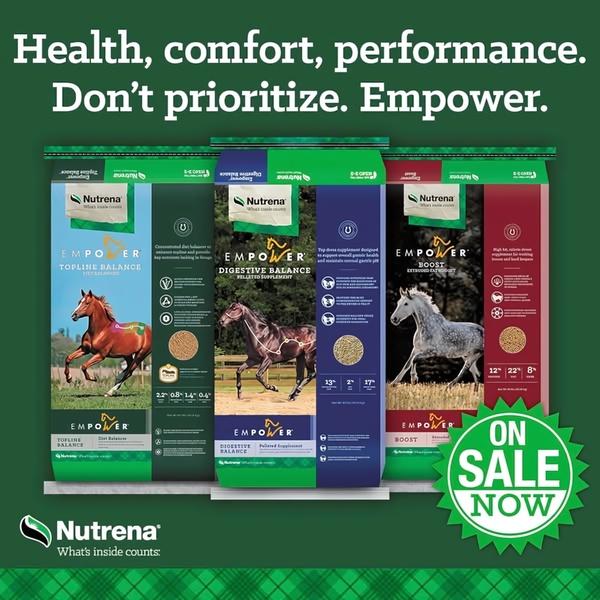 A 1:1 ratio advertisement showcasing three distinct equine feed supplement products with a bold 'On Sale Now' call-to-action.