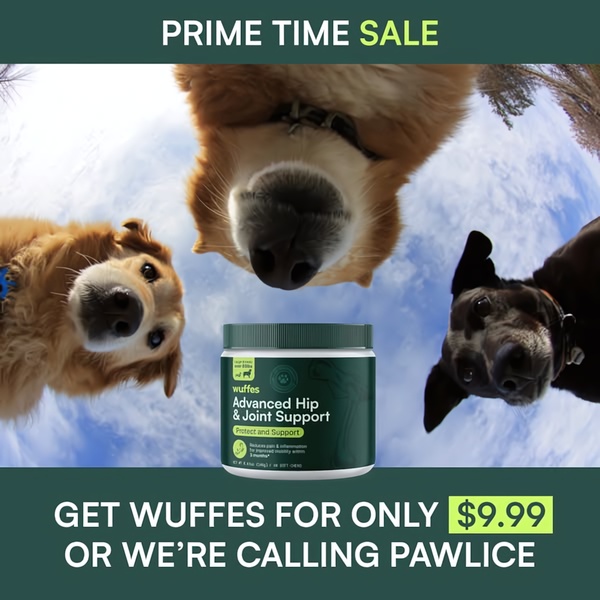 A clever 1:1 image using a low-angle wide-lens perspective with three dogs looking down at the product to create an engaging focal point for a discount offer.
