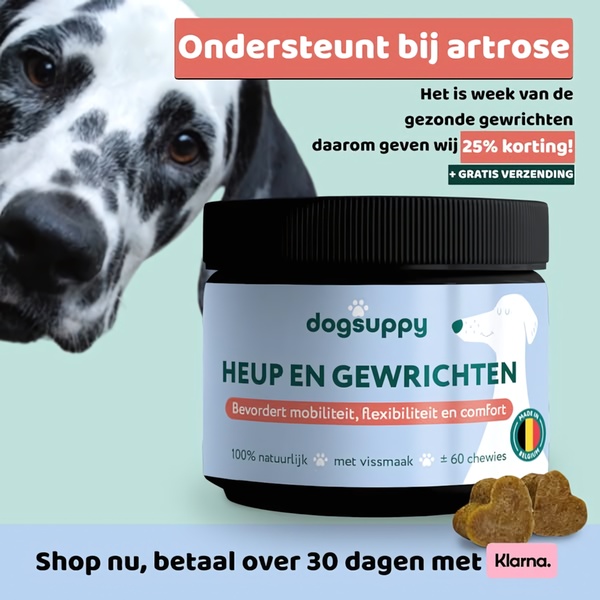 This 1:1 square ad for a dog joint supplement uses a direct health-benefit hook paired with a limited-time 25% discount offer.