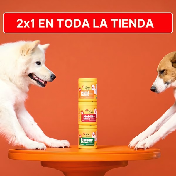 A square ad creative featuring two dogs facing each other with three stacked pet supplement canisters between them against a solid orange background.