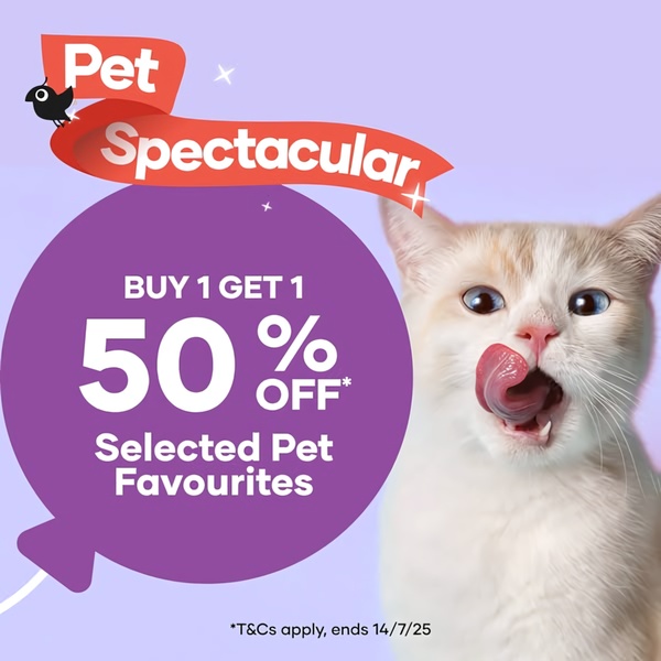 A high-conversion 1:1 square ad for cat products featuring a BOGO 50% discount offer and a vibrant, engaging mascot design.