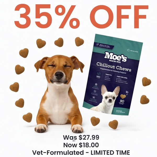 A high-contrast 1:1 square advertisement for Chillout Chews that uses a pet-focused hook and direct discount pricing.