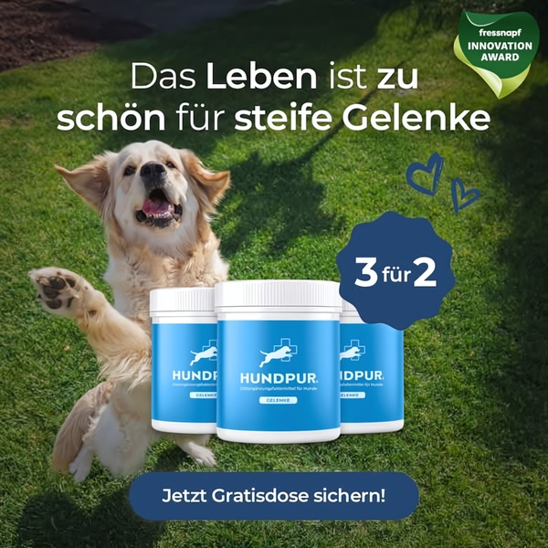 This 1:1 ratio ad creative displays three units of dog joint supplements alongside a joyful, active dog to promote a buy-three-for-the-price-of-two deal.