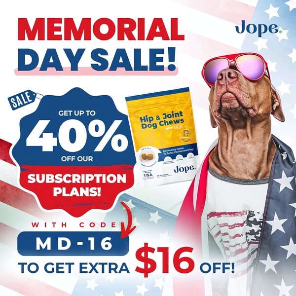 A 1:1 format promotional ad featuring a dog in sunglasses and an American flag with a clear discount offer for dog supplement subscription plans.