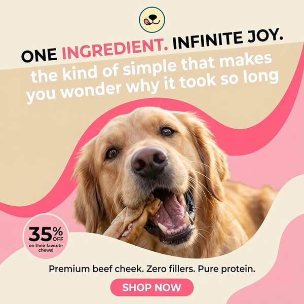 A high-conversion 1:1 square ad featuring a happy dog chewing a premium beef cheek with a clear value proposition and offer.
