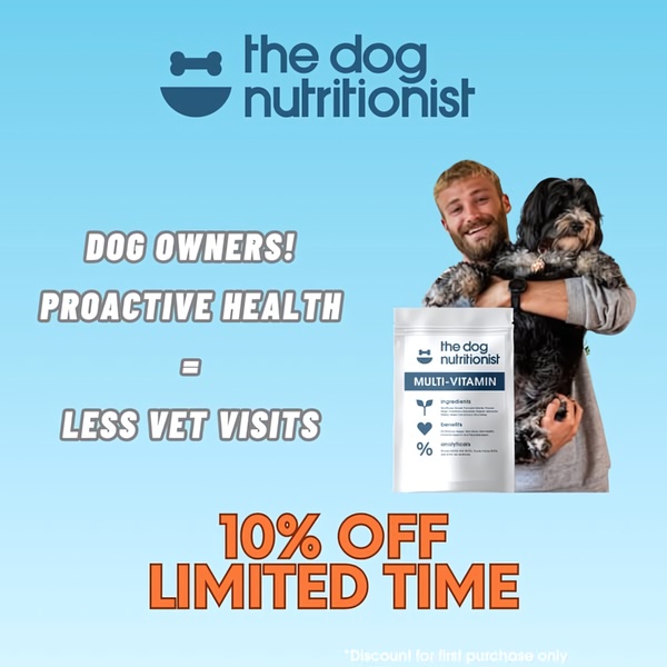 A high-contrast, clean 1:1 image using a strong value proposition and a limited-time offer to drive conversions for pet supplements.