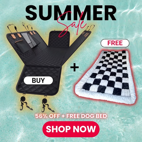 A square ad creative featuring a black car seat cover for dogs, paired with a checkered free dog bed as an incentive, set against a summer water-themed background.