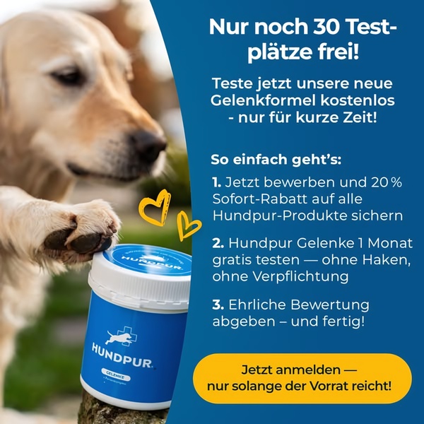 A 1-to-1 square ad creative highlighting a limited-time product trial for dog joint supplements with a clear three-step conversion process.