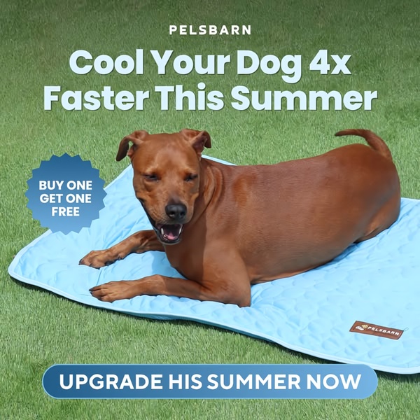 A clear, benefit-focused static ad featuring a dog on a cooling mat with a highlighted offer and a direct call-to-action.