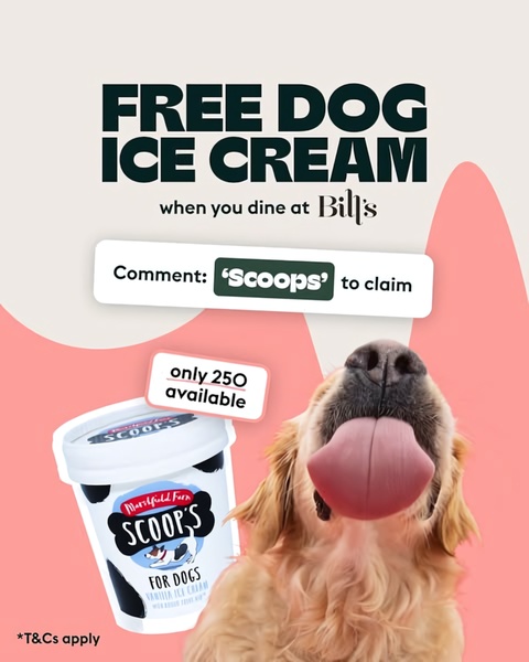 A high-performing social ad featuring a dog ice cream offer with a clear call-to-action for local dining customers.