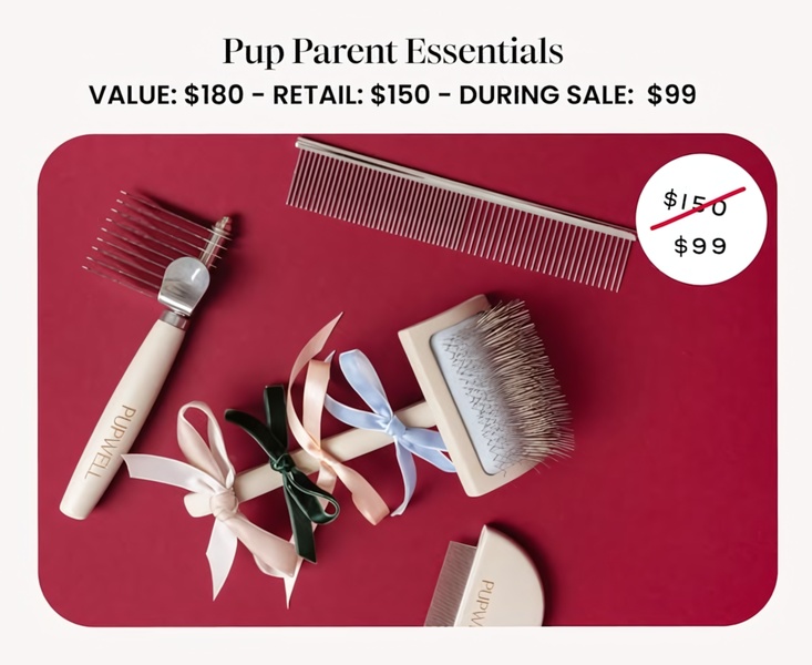 A high-contrast, overhead studio shot featuring dog grooming tools arranged with decorative bows to communicate a premium gift set feel, explicitly highlighting a price reduction.