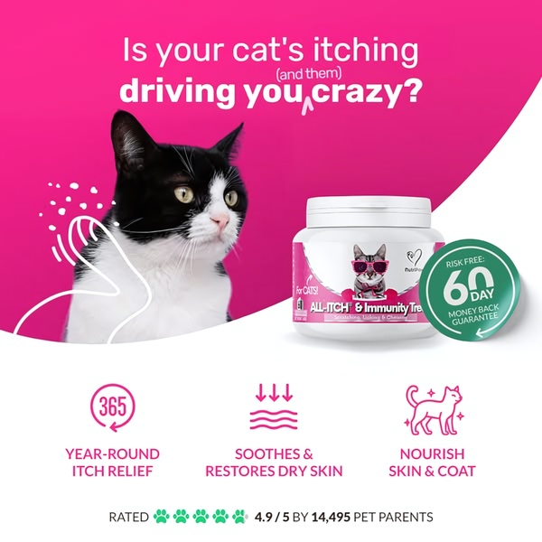 A high-performing 1:1 square ad for a cat supplement featuring a problem-focused headline and clear, benefit-driven product callouts.