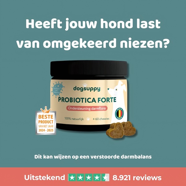 A square ad creative for dog probiotics that uses a direct question about a specific health concern as a hook followed by product validation.