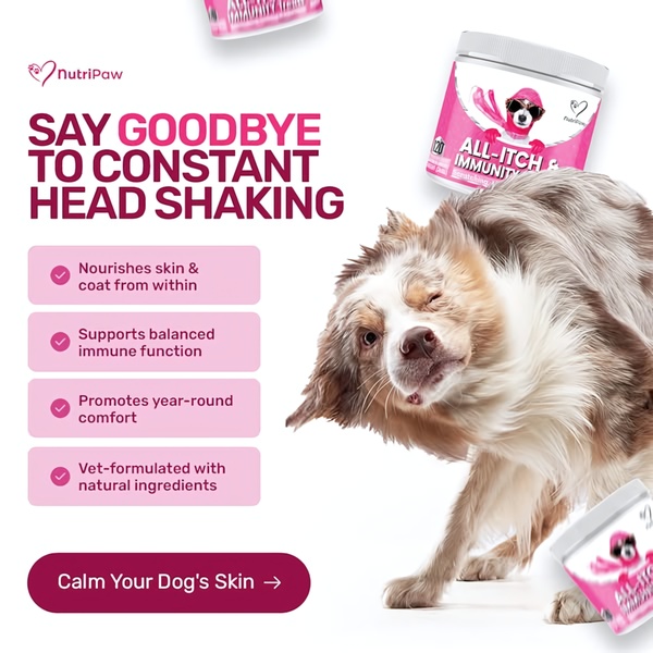 This ad creative features a dog shaking its head, paired with a bulleted list of benefits for an all-itch and immunity supplement.