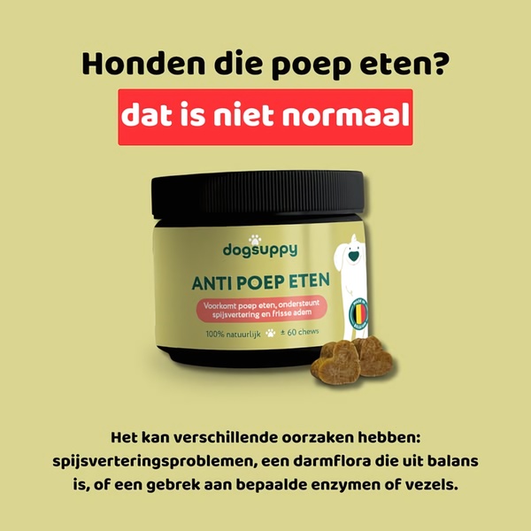 A square format ad featuring a clear problem-statement headline, a product shot, and a supporting explanation of why the pet issue occurs.