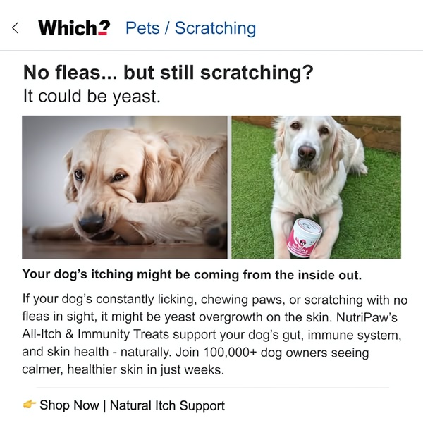 This static square ad creative uses a split-screen layout to contrast a dog's discomfort with a brand-aligned wellness solution.