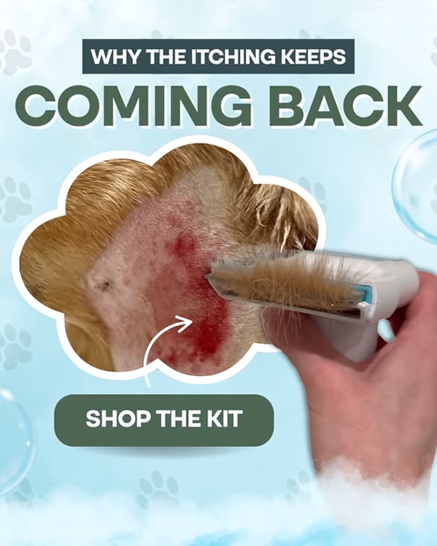 This ad features a close-up, high-contrast photo of a pet skin irritation alongside a deshedding tool, using a thought bubble to highlight the pain point.