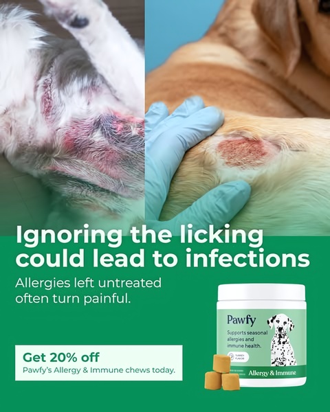 This 4:5 vertical ad uses a split-screen visual of irritated pet skin to highlight the urgency of treating pet allergies.