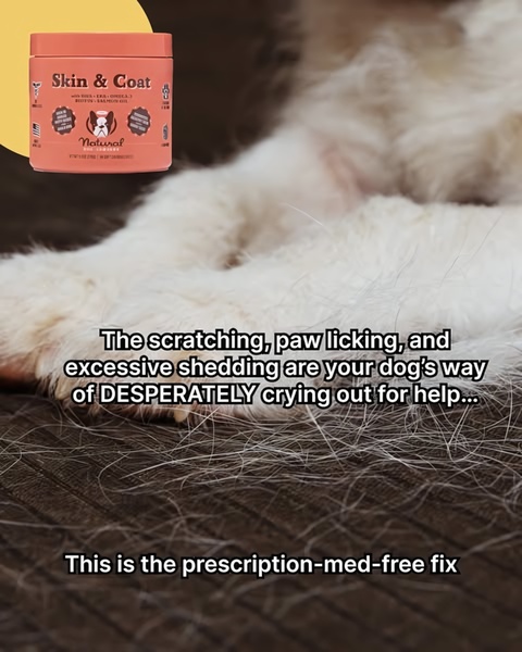 Natural Dog Company Skin & Coat Problem-Solution Creative